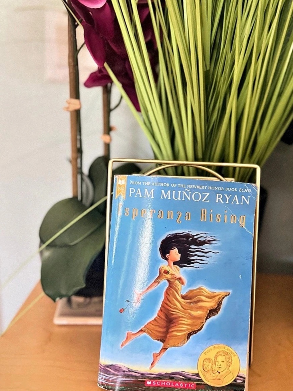 Scholastic Esperanza Rising Paperback Book